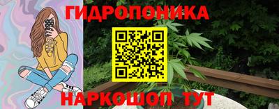 прущие грибы Моздок