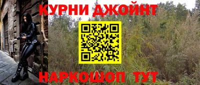 прущие грибы Моздок