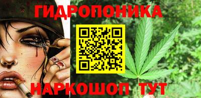 прущие грибы Моздок