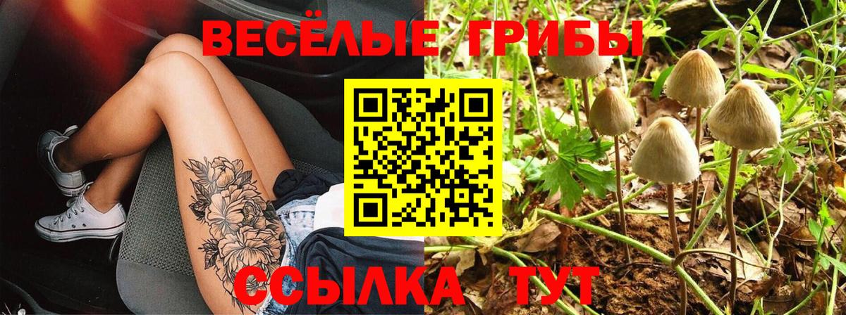 Псилоцибиновые грибы Magic Shrooms Владимир