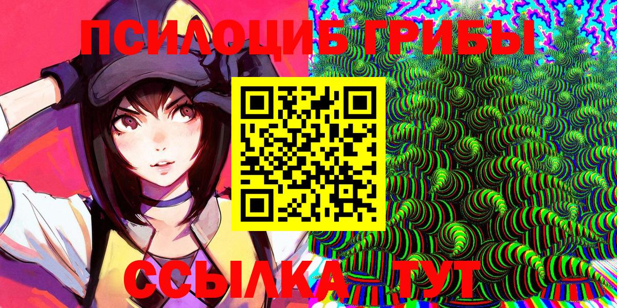 Псилоцибиновые грибы мицелий  Вход с VPN  Владимир 